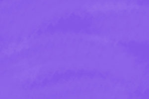 article sur l'allocation supplémentaire invalidité