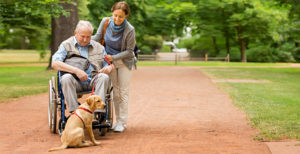 APAMAD : Soins et promenades des animaux de compagnie