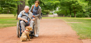 APAMAD Soins et promenades des animaux de compagnie