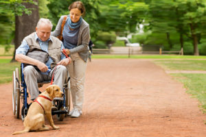 APAMAD Soins et promenades des animaux de compagnie