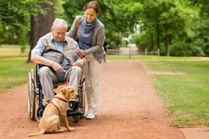 Apamad : Soins et promenades des animaux de compagnie