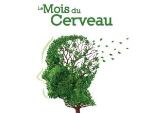 Mois du cerveau : construisons ensemble des projets répondant aux besoins des aidés et aidants à Mulhouse